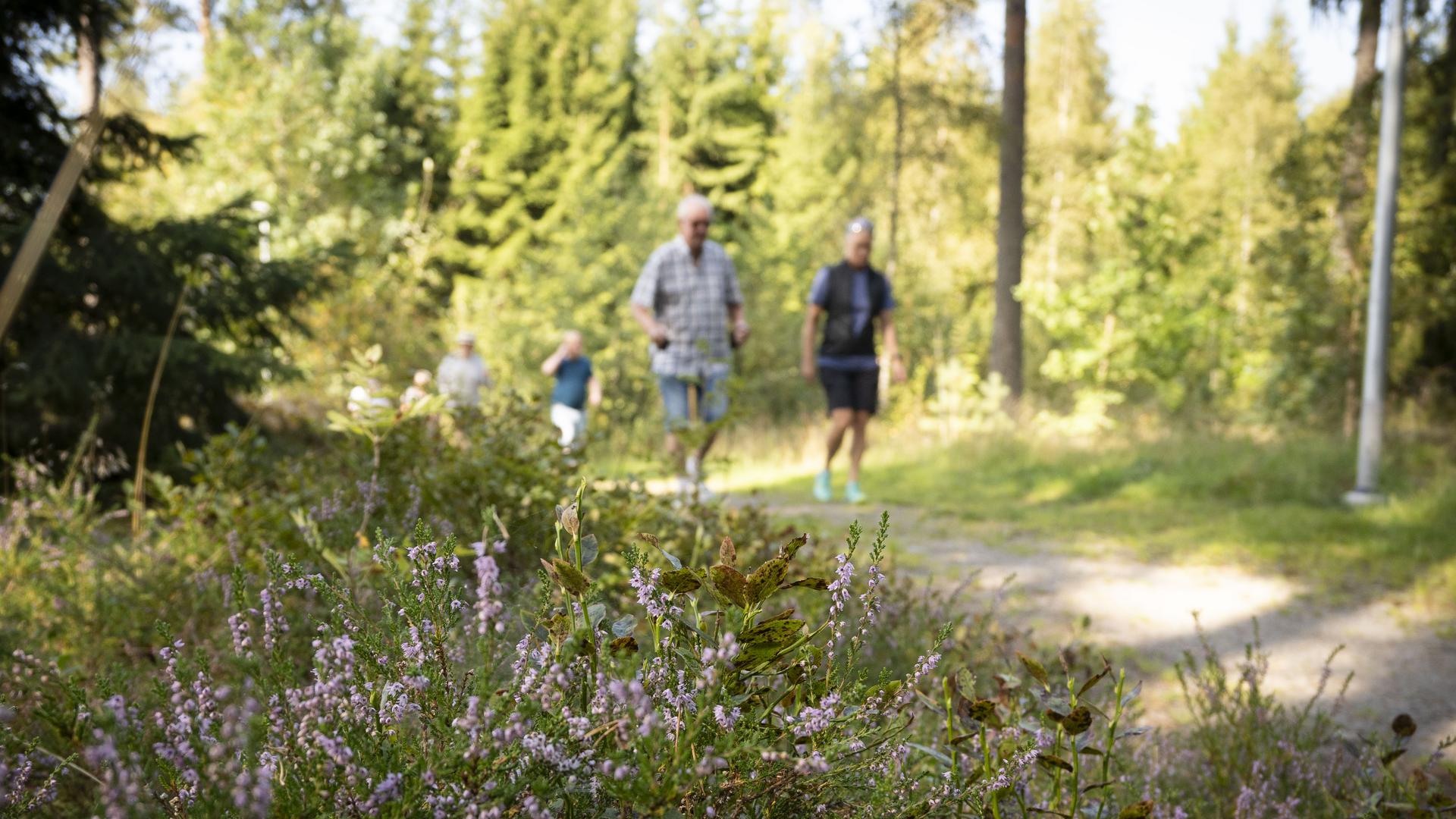 promenad med hälsocenter