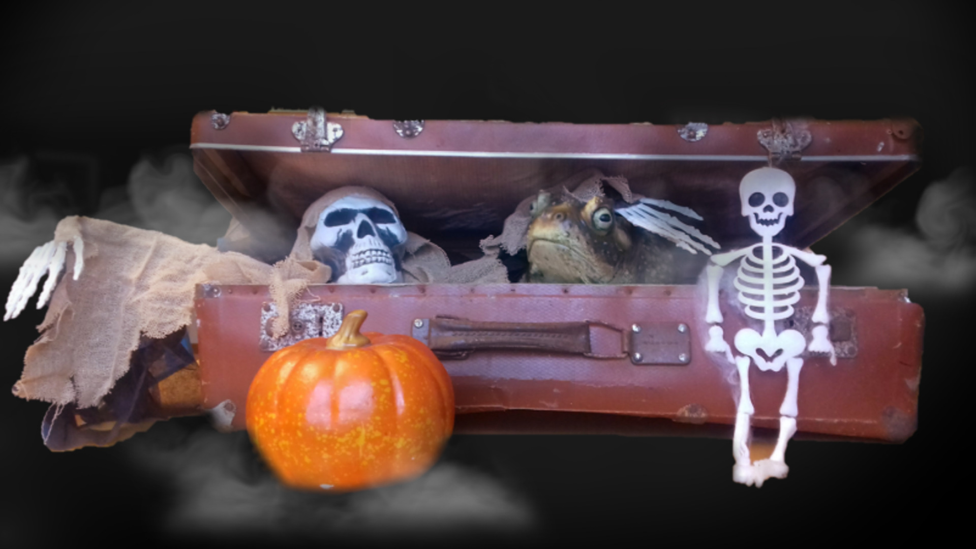 Bild på koffert med skelett
