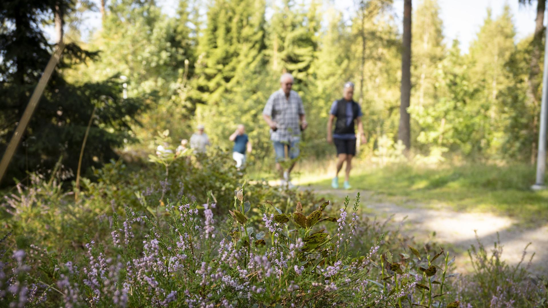 promenad med hälsocenter