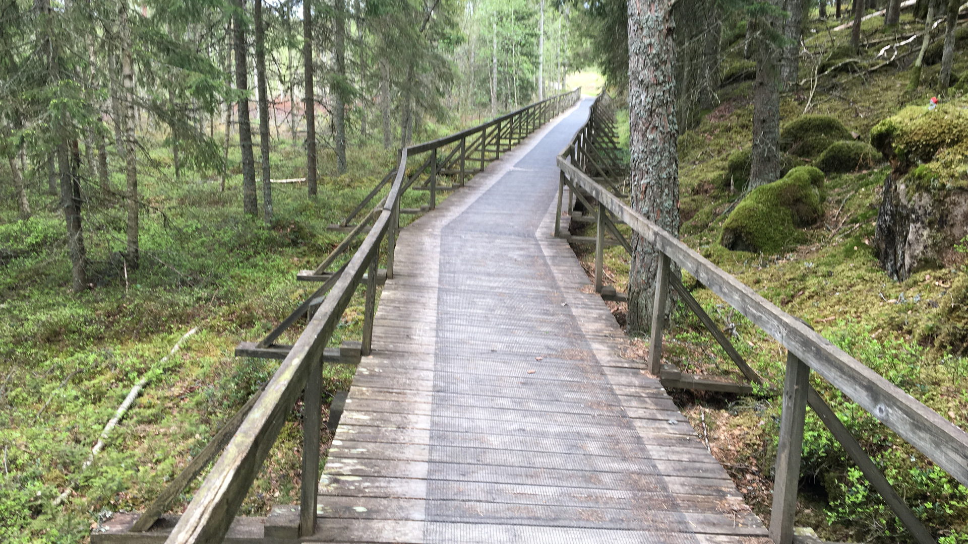 Promenadstråket runt Eksjöhovgårdssjön