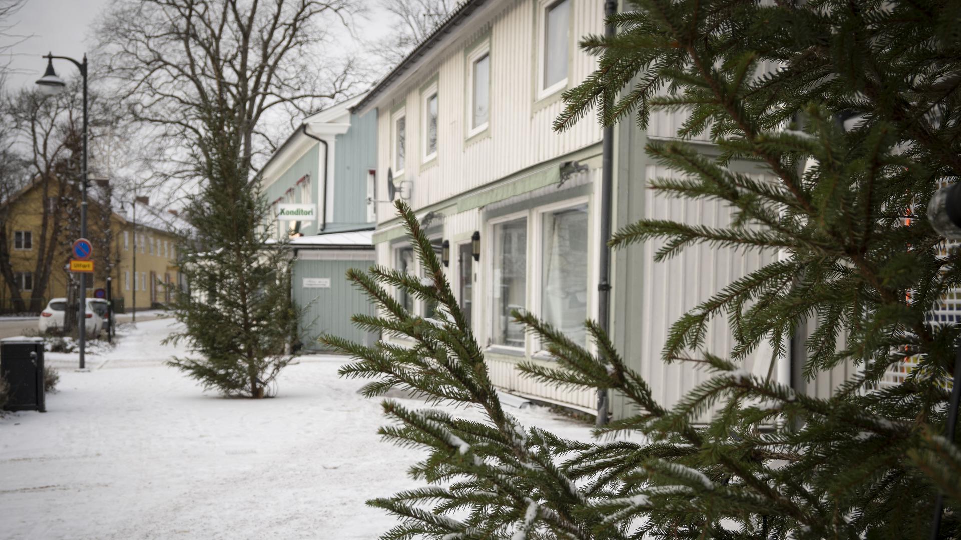 Gran på gatan utanför gammal träbyggnad, vinter